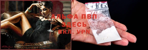 прущие грибы Кодинск