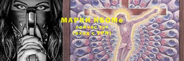 прущие грибы Кодинск