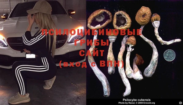 ECSTASY Козельск